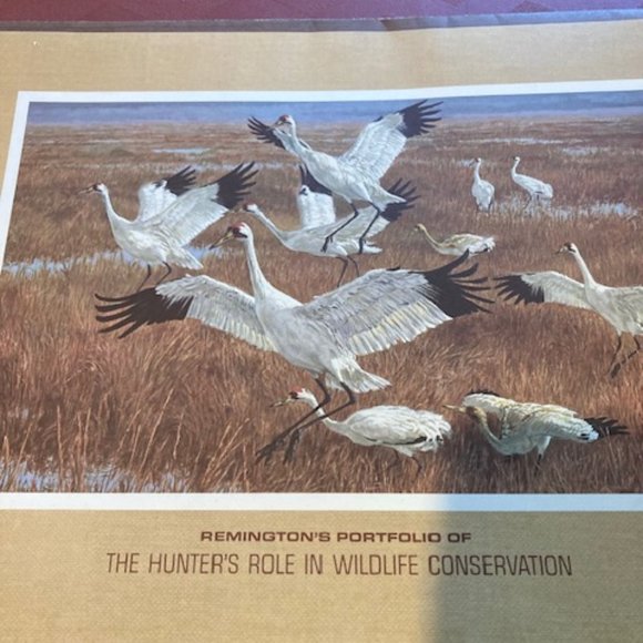Remington Art Remingtons Portfolio Of The Hunters Role In Wildlife
